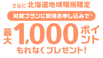 さらに北海道地域暖房限定、対象プランに新規お申し込みで※最大1000ポイントもれなくプレゼント