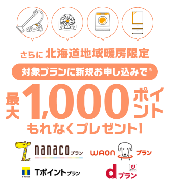 さらに北海道地域暖房限定、対象プランに新規お申し込みで※最大1000ポイントもれなくプレゼント