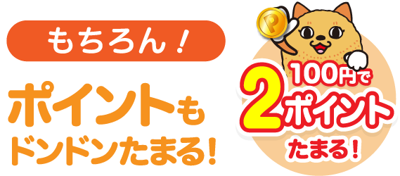 どんな使い方でもおトクになります!もちろん!タイヨービッグハウスのポイントもたまる!