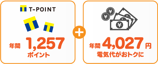 中部電力 従量電灯BとサミットエナジーTポイントプランの比較