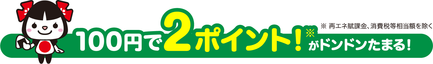 100円で2ポイントがどんどんたまる!
