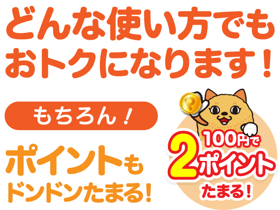 どんな使い方でもおトクになります!もちろん!タイヨービッグハウスのポイントもたまる!