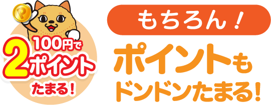 どんな使い方でもおトクになります!もちろん!タイヨービッグハウスのポイントもたまる!