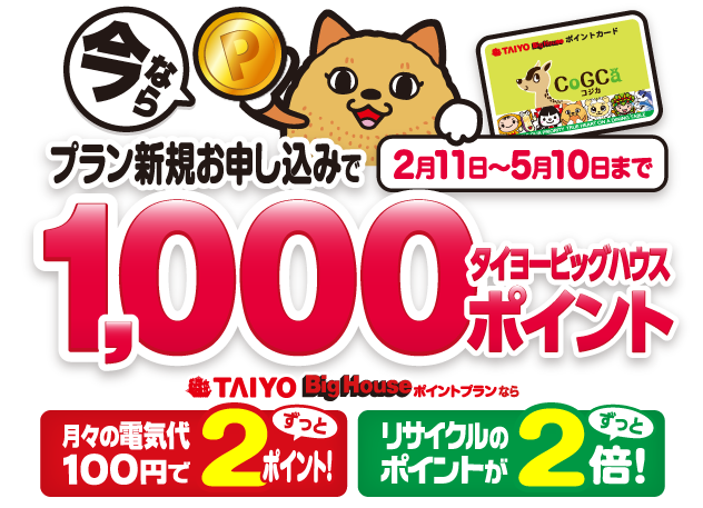 100円で2ポイントたまる!