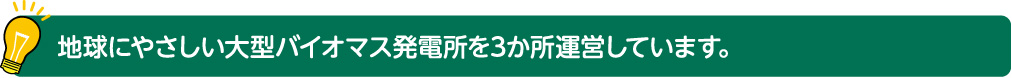 地球にやさしい大型バイオマス発電所を3か所運営しています。