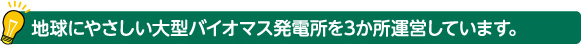 地球にやさしい大型バイオマス発電所を3か所運営しています。